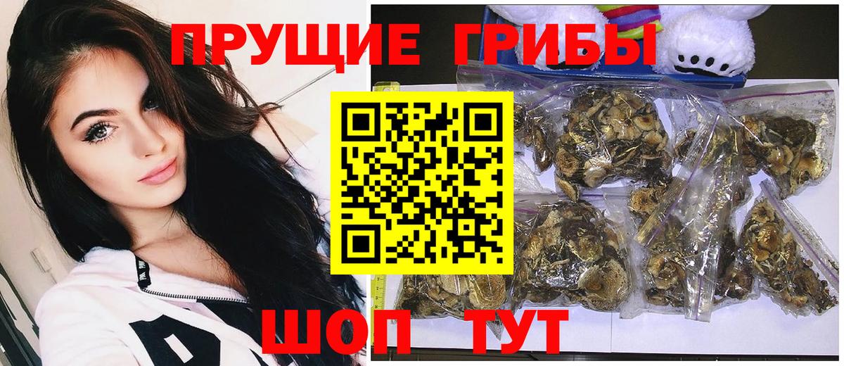 Галлюциногенные грибы мицелий  Галлюциногенные грибы GOLDEN TEACHER  Павлово  Вход с VPN 
