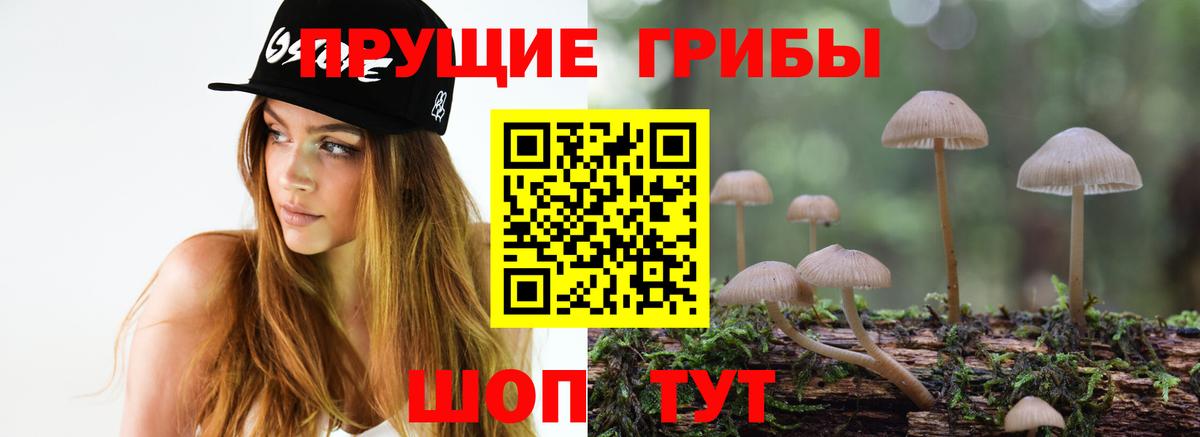 Галлюциногенные грибы ЛСД Павлово