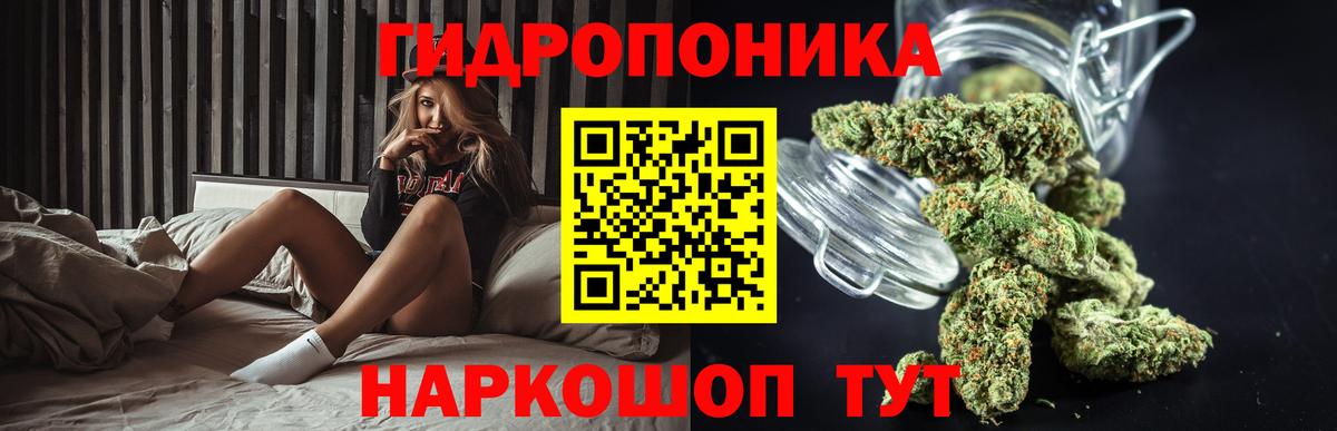 Шишки марихуана семена Павлово